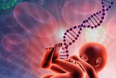 Factorul genetic: cum ne influenteaza viata?