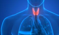 Legatura dintre functia tiroidiana si caderea parului