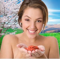 Fructele Goji: dieta, imunitate, anti-aging