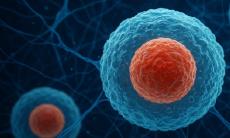 Greutatea la nastere si volumul de sange recoltat – ce spun studiile?