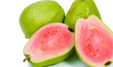 Guava – 6 beneficii asupra sanatatii