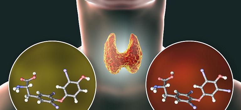 Hormonul uman de crestere (HGH): vinovat de procesul imbatranirii?