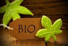 Informatii utile despre alimentele bio, suplimente nutritive si produse bio fara gluten