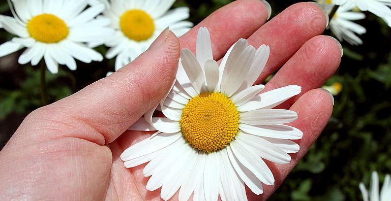 Descuamarea pielii (exfoliere talpi, palme)