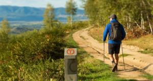 MedLife lanseaza primul studiu observational pe Via Transilvanica pentru a evalua impactul mersului pe jos asupra sanatatii fizice si emotionale