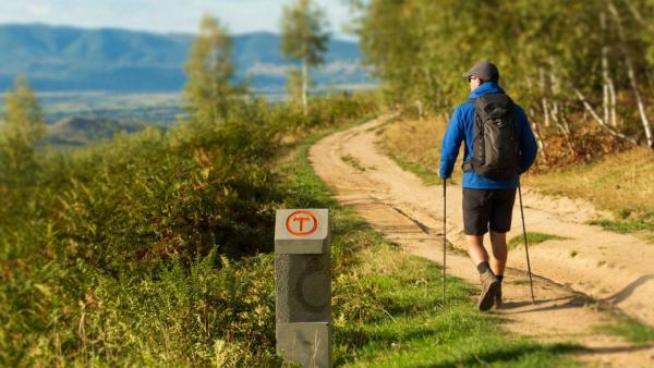 MedLife lanseaza primul studiu observational pe Via Transilvanica pentru a evalua impactul mersului pe jos asupra sanatatii fizice si emotionale