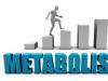 Metabolismul pe intelesul tau: ce factori il influenteaza
