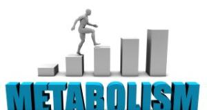 Metabolismul pe intelesul tau: ce factori il influenteaza