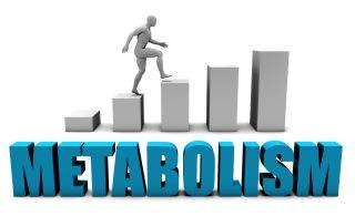 Metabolismul pe intelesul tau: ce factori il influenteaza