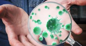 Cele mai frecvente mituri despre microbi, afectiuni si medicamente