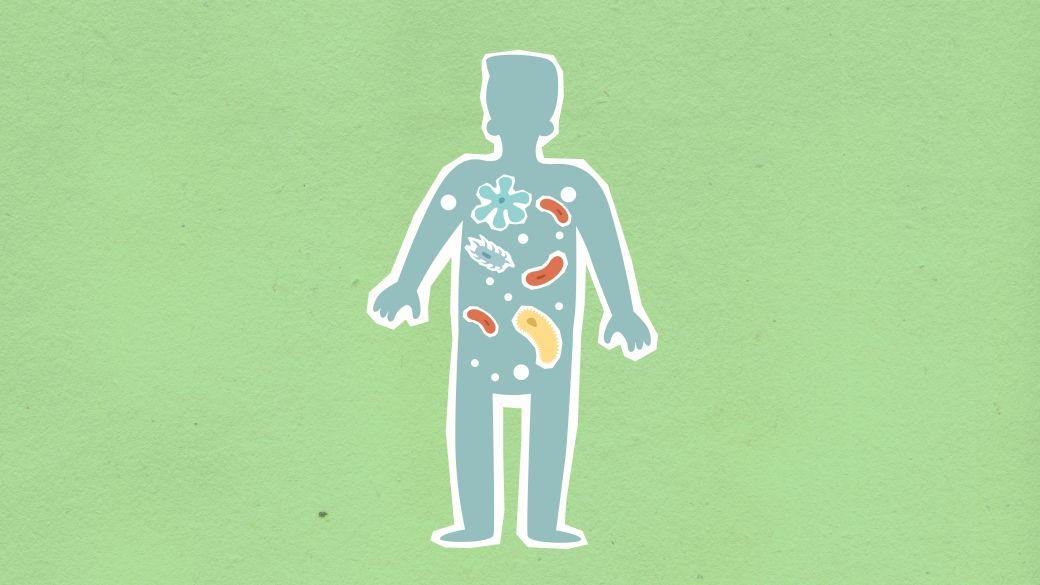 Microbiomul intestinal: cum iti influenteaza digestia, imunitatea si starea de spirit?