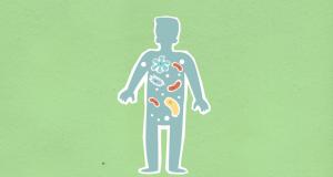Microbiomul intestinal: cum iti influenteaza digestia, imunitatea si starea de spirit?