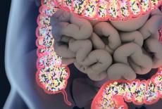 Ce nu stiai despre probiotice