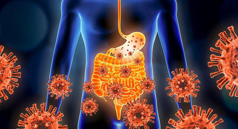 Cum se transmite infectia cu rotavirus?