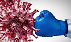 Importanta sistemului imunitar in intreaga perioada a anului