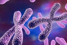 Revolutie in tratamentul bolilor grave: telomerii
