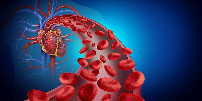 Trombocitopenia la copii: cauze, simptome, tratament