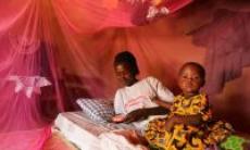 Astazi este Ziua Mondiala de Lupta impotriva Malariei 