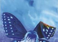 broken wing
