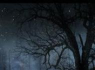 dark winter