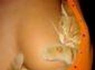 angy