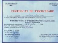 Certificat participare