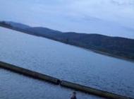 eu