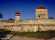 castel009